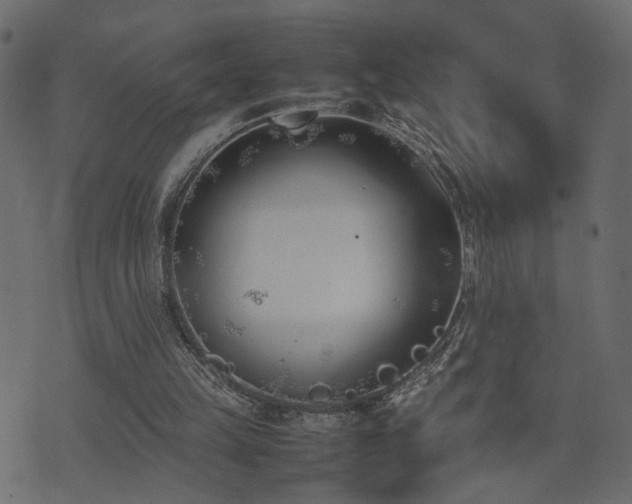 X0000074310149200608251244