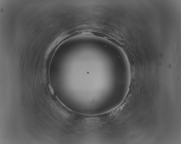 X0000074310150200608251244