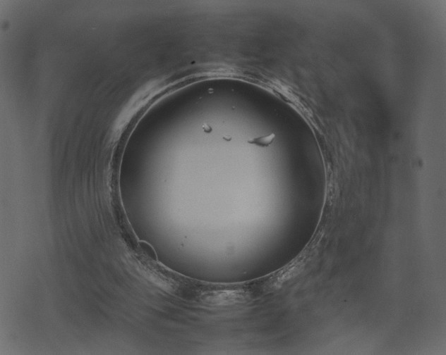 X0000074310151200608251244