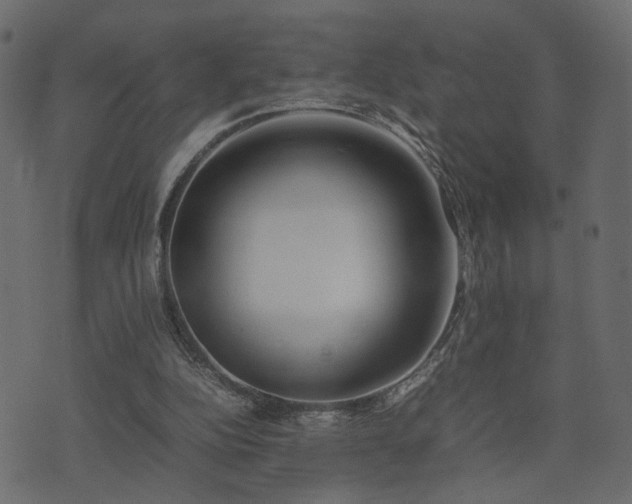 X0000074310152200608251244