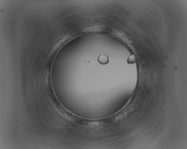 X0000074310153200608251244