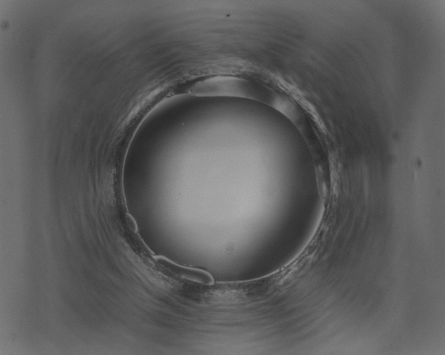 X0000074310154200608251244