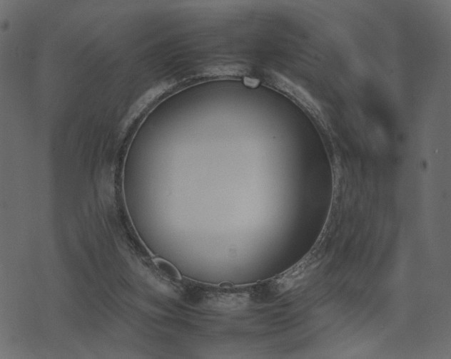 X0000074310155200608251244