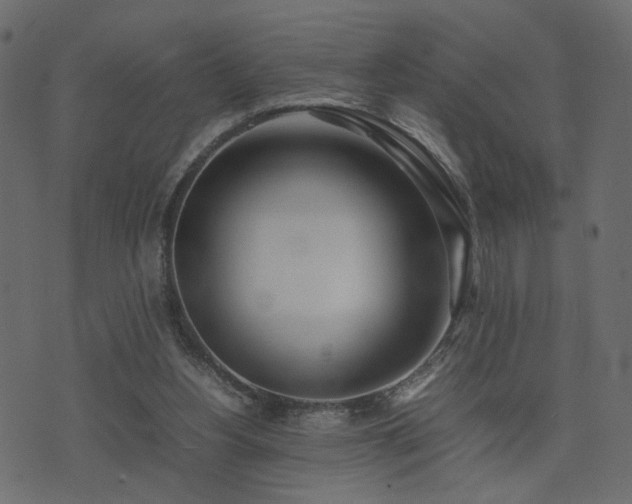 X0000074310156200608251244