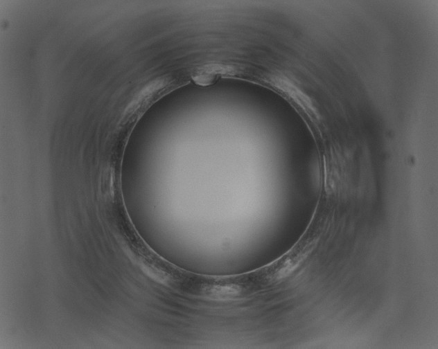 X0000074310157200608251244