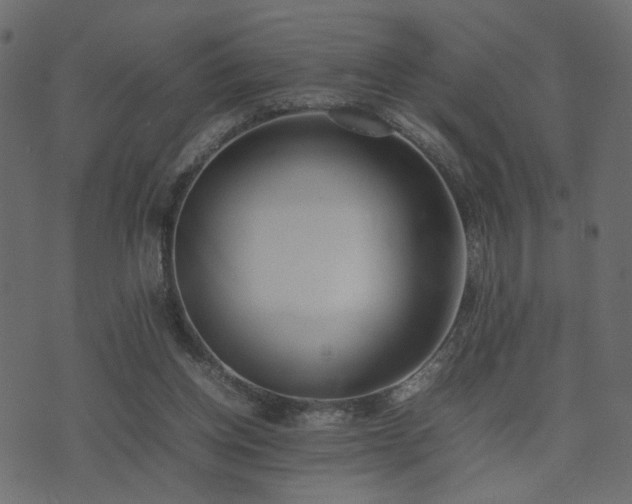 X0000074310158200608251244