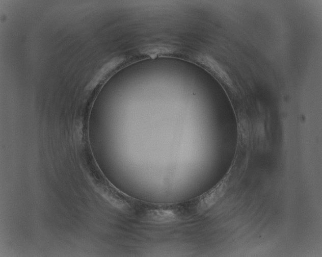 X0000074310159200608251244