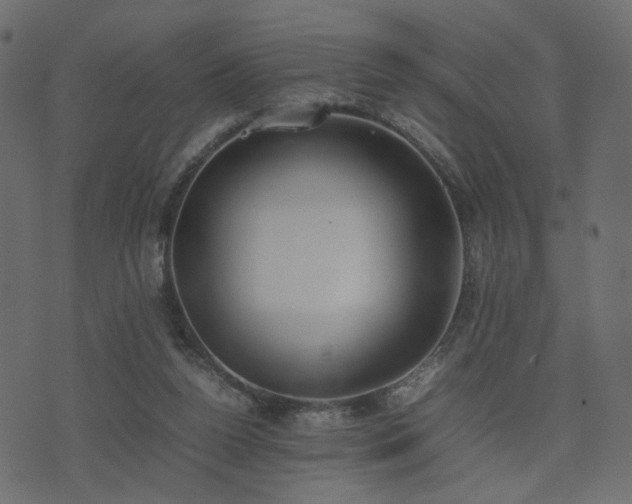 X0000074310160200608251244