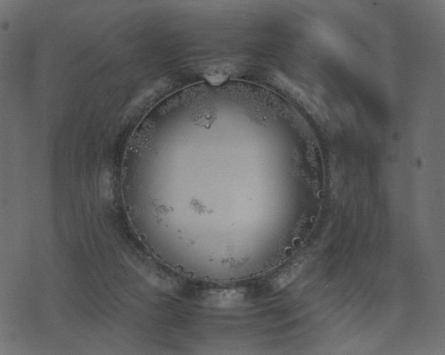 X0000074310161200608251244