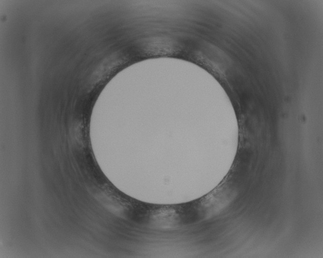 X0000074310162200608251244