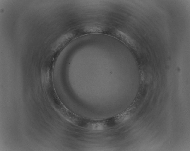 X0000074310163200608251244