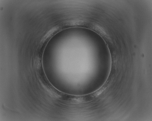 X0000074310164200608251244