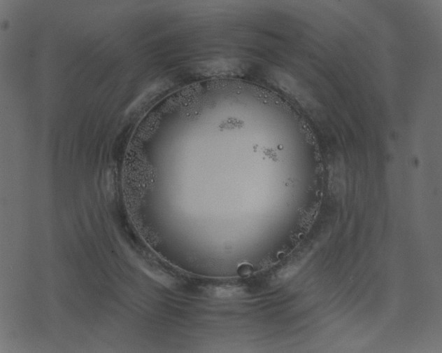 X0000074310165200608251244