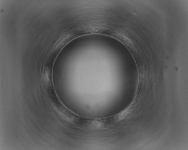 X0000074310166200608251244