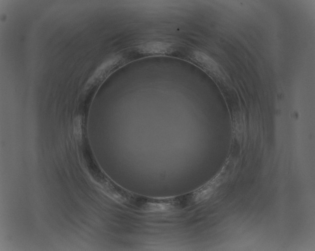 X0000074310167200608251244