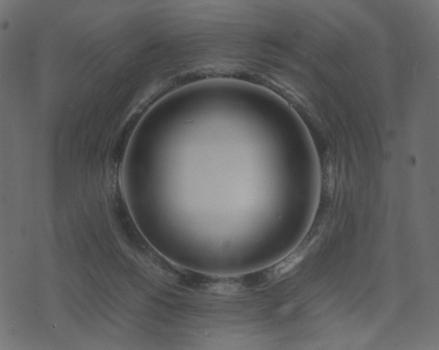 X0000074310168200608251244