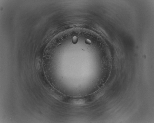 X0000074310169200608251244