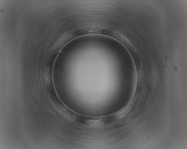 X0000074310170200608251244