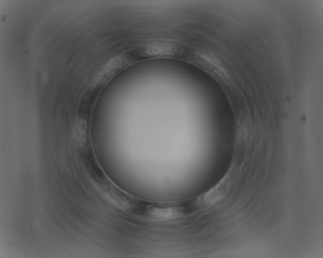 X0000074310171200608251245