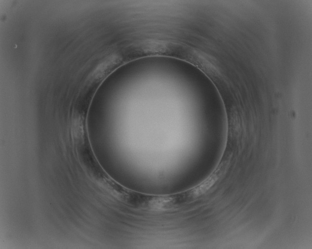 X0000074310172200608251245