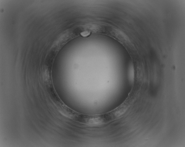 X0000074310173200608251245