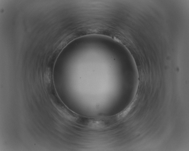 X0000074310174200608251245