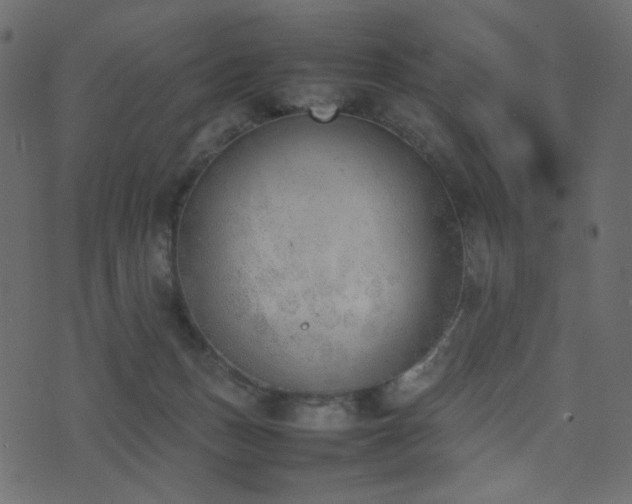 X0000074310175200608251245