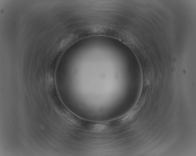 X0000074310176200608251245