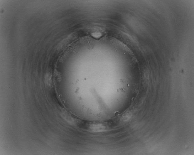 X0000074310177200608251245