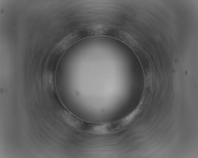 X0000074310178200608251245