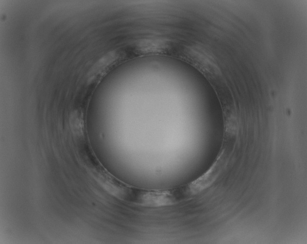 X0000074310179200608251245