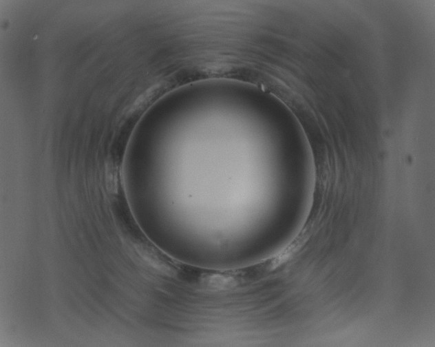 X0000074310180200608251245