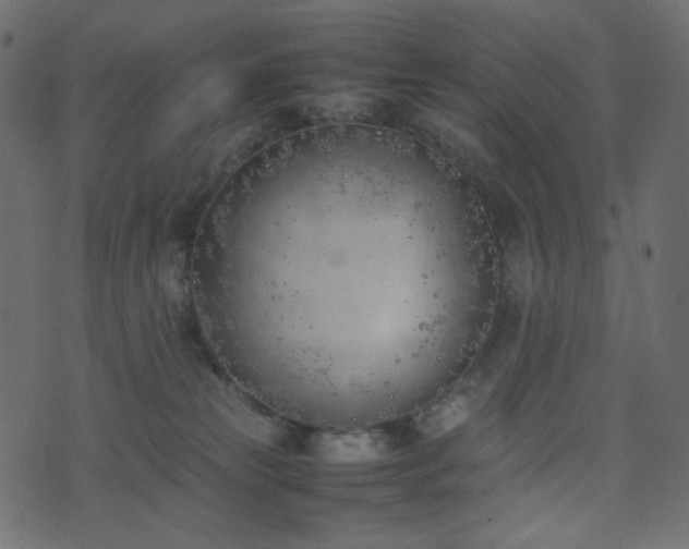 X0000074310181200608251245