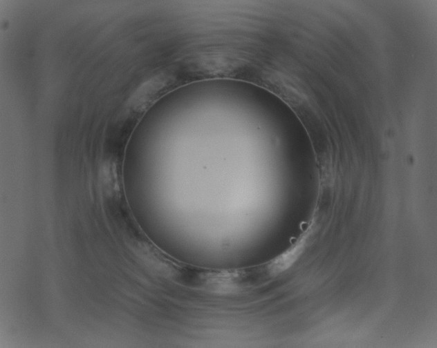 X0000074310182200608251245