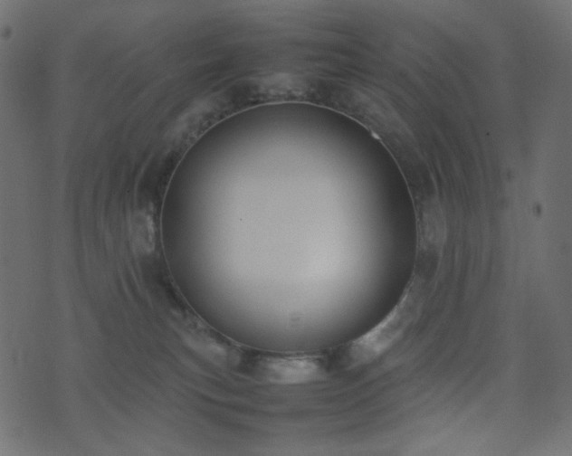 X0000074310183200608251245