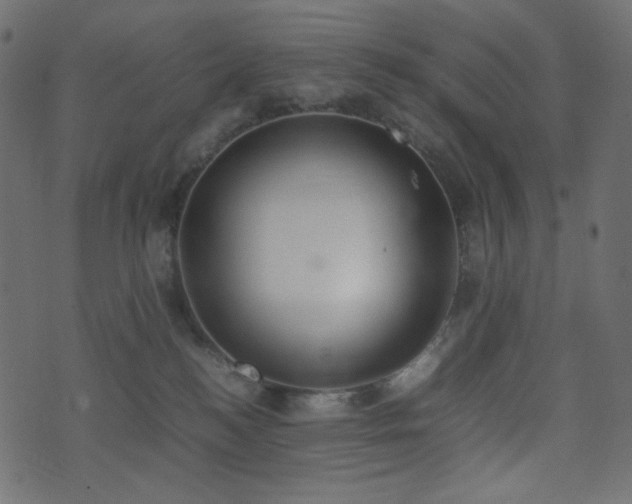 X0000074310184200608251245