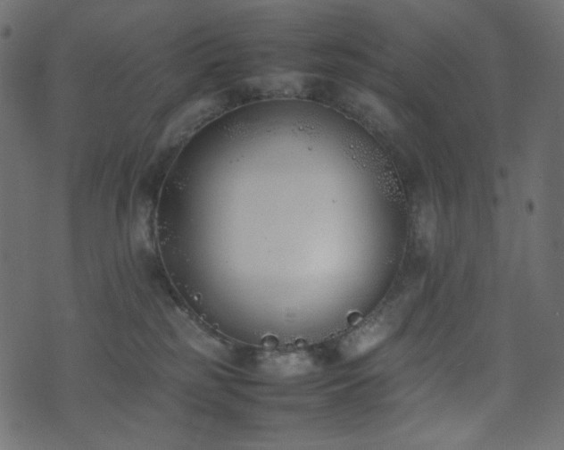 X0000074310185200608251245