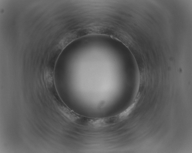 X0000074310186200608251245