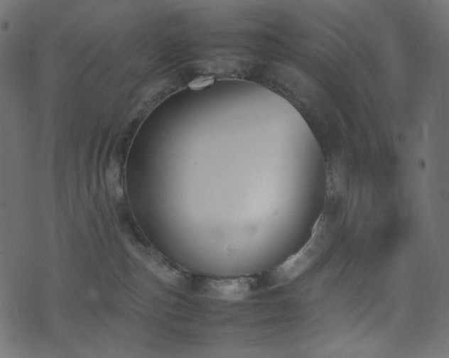 X0000074310187200608251245