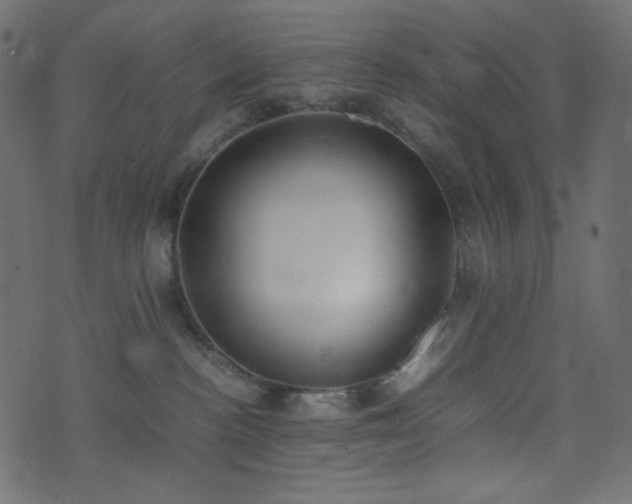 X0000074310188200608251245