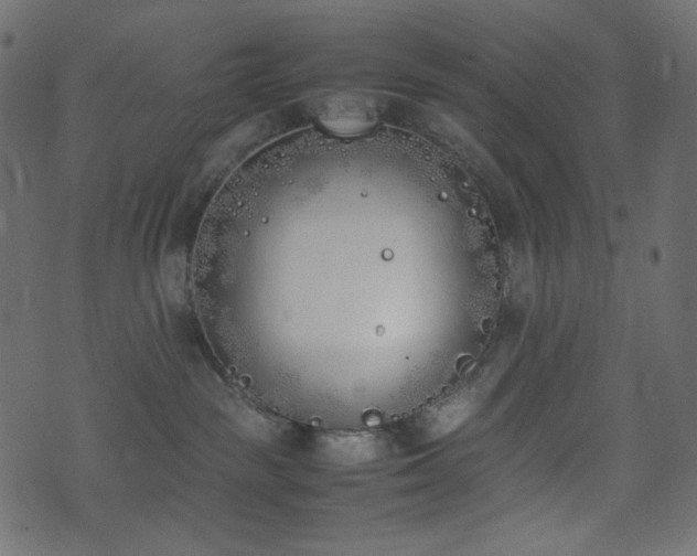 X0000074310189200608251245