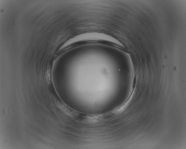 X0000074310190200608251245