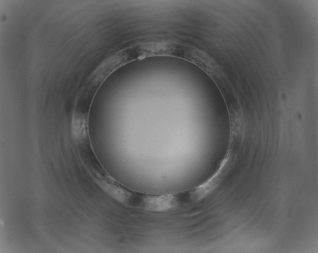 X0000074310191200608251245