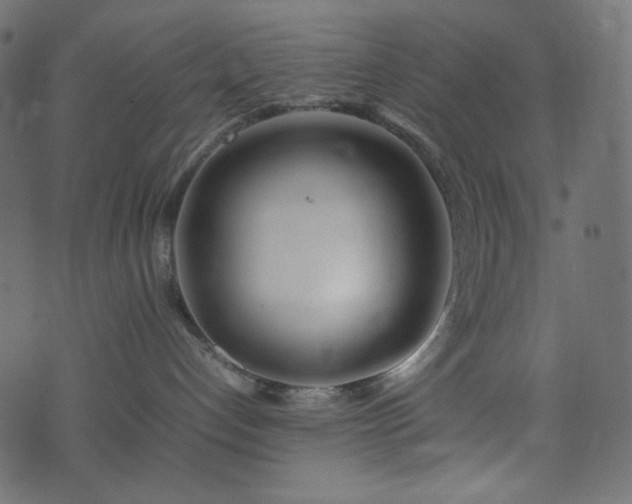 X0000074310192200608251245