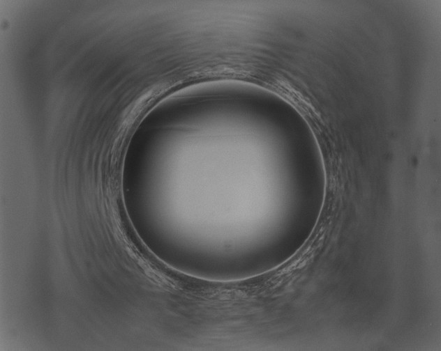 X0000074310193200608251244