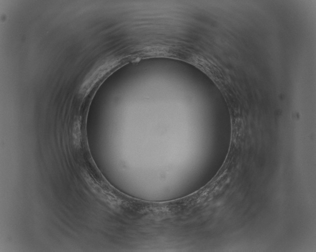 X0000074310194200608251244