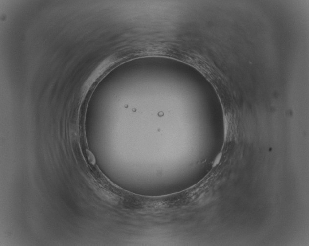 X0000074310195200608251244