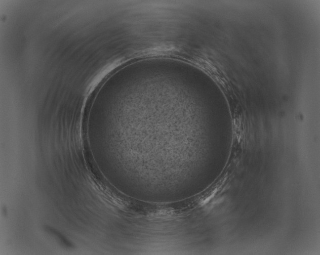 X0000074310196200608251244