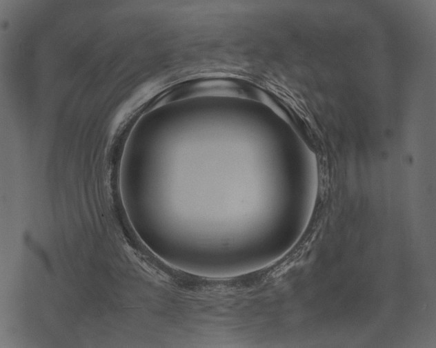 X0000074310197200608251244