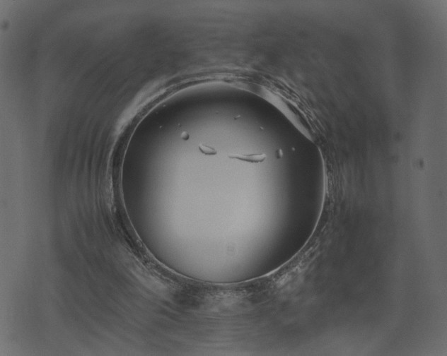 X0000074310198200608251244